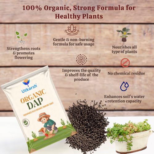 Utkarsh Organic DAP Fertilizer for Plants, Home & Garden - 400 gm Granules, 100% Water Soluble, Bio DAP Fertilizers & Manure for Plants Growth | Improves Flowering, Fruiting & Vegetables; Pack of 1 - Image 4