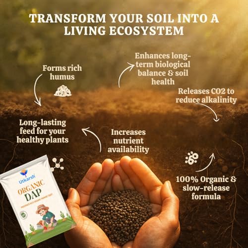 Utkarsh Organic DAP Fertilizer for Plants, Home & Garden - 400 gm Granules, 100% Water Soluble, Bio DAP Fertilizers & Manure for Plants Growth | Improves Flowering, Fruiting & Vegetables; Pack of 1 - Image 3