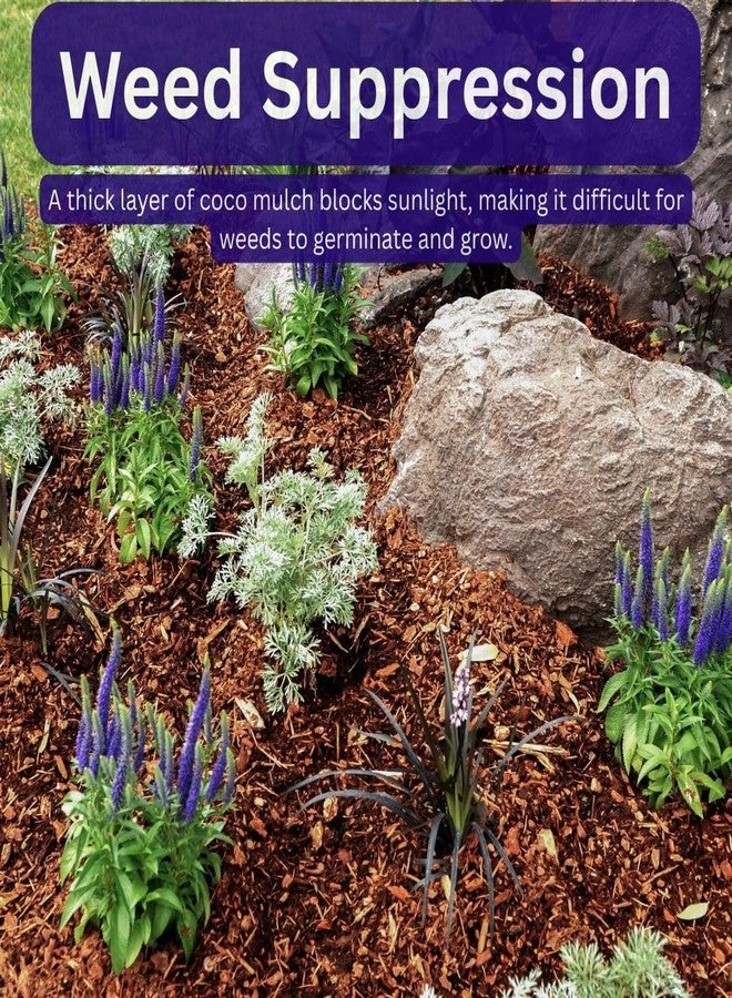 Super Moss (23261 Coco Mulch, 200 in3, Natural Brown - Image 2