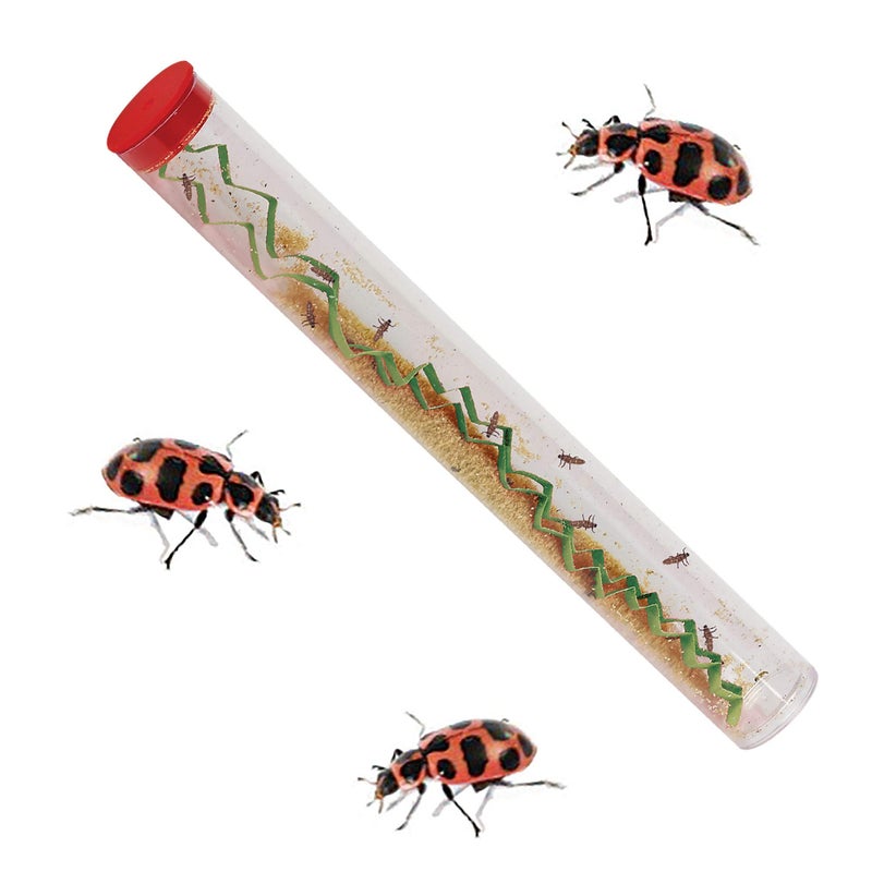 Insect Lore Live Ladybug Growing Kit - Ladybug Land Habitat with 10-15 Live Pink Spotted Ladybug Larvae - Raise, Observe and Release Ladybugs - Image 5