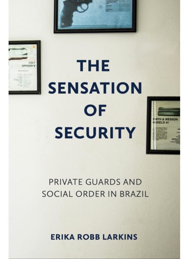 The Sensation of Security : Private Guards and Social Order in Brazil 