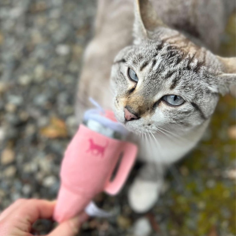 PUPROAR Kitty Cup Catnip Toy - Easter & Birthday Cat Gift Toy with Catnip & Crinkle, Funny Gift for Girl Indoor Kitten (Pink Peach Dust) - Image 2