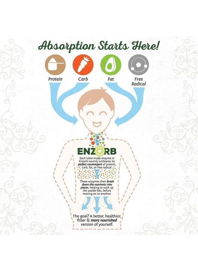 Sunwarrior Digestive Enzymes Probiotic | Plant Based & Vegan with Spore Based Probiotic Essential Supplements to Support Optimal Health for Men & Women Digestive Enzyme Supplements | Enzorb - Image 2