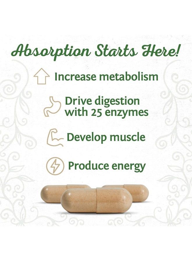 Sunwarrior Digestive Enzymes Probiotic | Plant Based & Vegan with Spore Based Probiotic Essential Supplements to Support Optimal Health for Men & Women Digestive Enzyme Supplements | Enzorb - Image 3