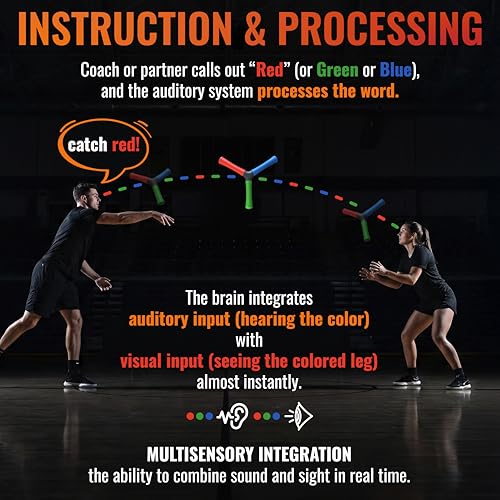 Eye On Ball HECOstix Hand-Eye Coordination Trainer (Red/Green/Blue) – Reaction Time & Reflex Tool with Removable Legs | Improves Agility, Focus, & Multisensory Skills | Sports, Fitness, & Fun | All Ages - Image 3