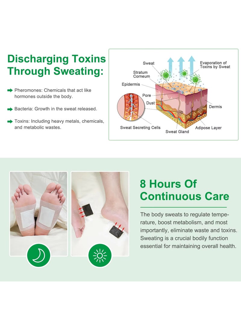 Sefudun 10 Pcs Rosemary Deep Cleaning Foot Patches Foot Detox Pads to Remove Toxins Deep Cleansing Foot Pads Natural Bamboo Vinegar Ginger Powder Foot Pads for Foot Care Adhesive Sheets for Relieve Stress Improve Sleep Detox Foot Pads - Image 5