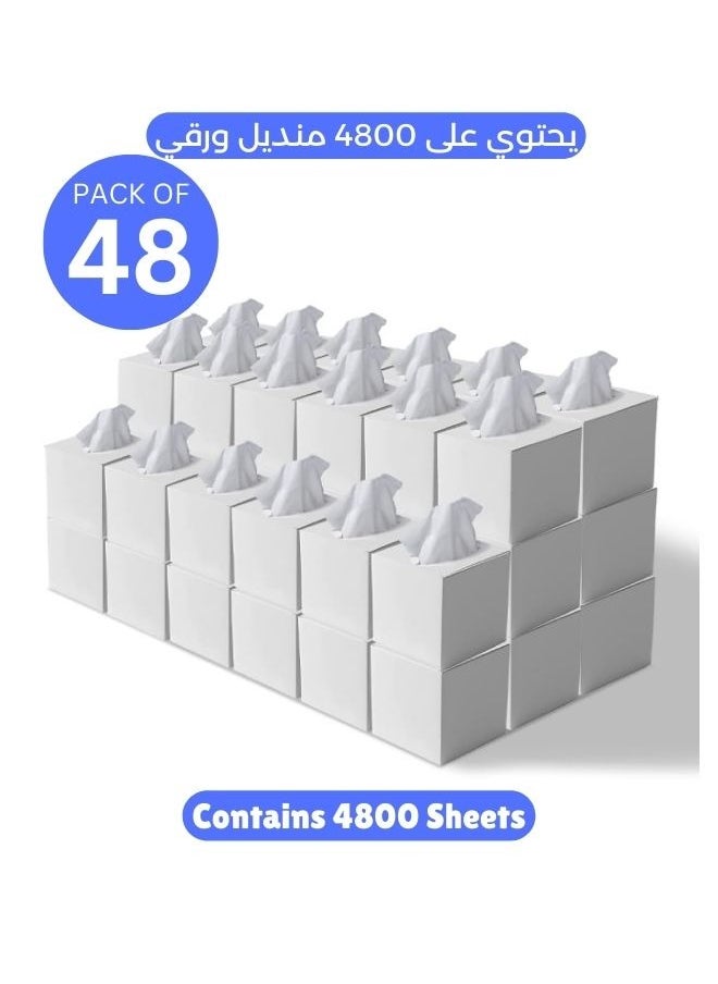 NICE Touch Nice Touch Facial Tissue - 2-Ply X 48 Cube Boxes of 100 Sheets Each - 4800 Premium Soft Feel and Absorbent Tissues for All Skin Types and any event  - Image 1