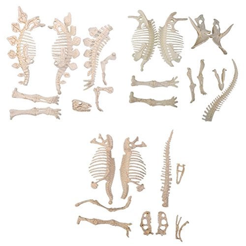 NUOLUX 3Pcs 4D Dinosaur Fossil Skeleton Toys DIY for Kids Fossil Skeleton Figure - Image 1