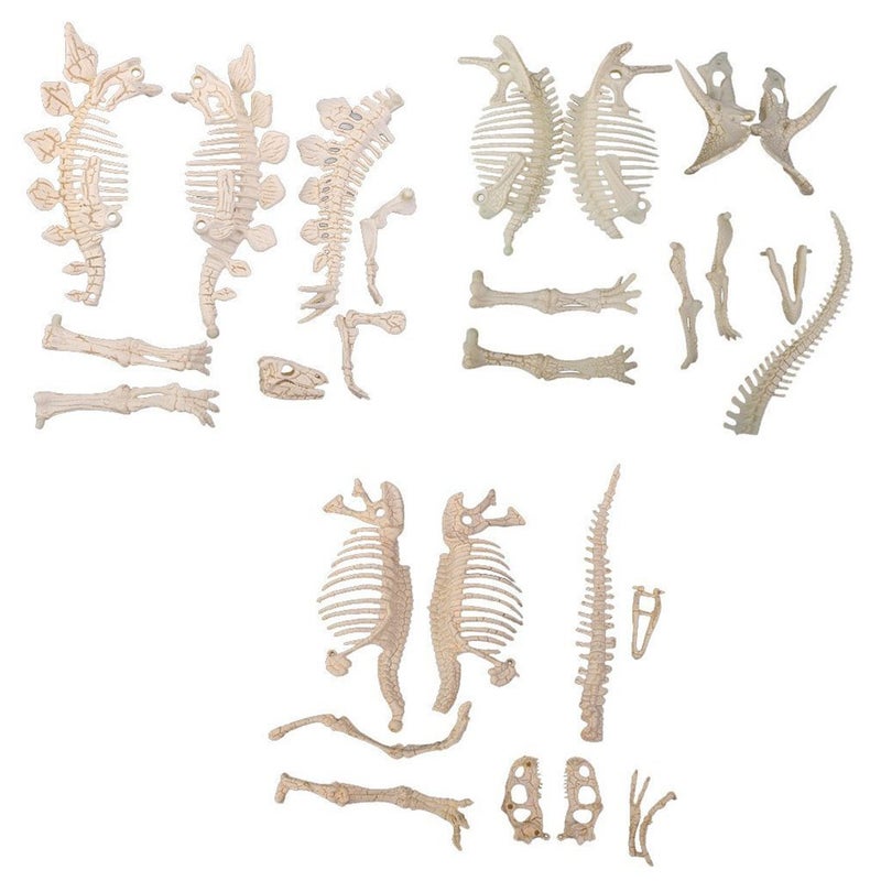 NUOLUX 3Pcs 4D Dinosaur Fossil Skeleton Toys DIY for Kids Fossil Skeleton Figure - Image 3
