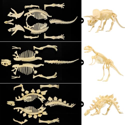 NUOLUX 3Pcs 4D Dinosaur Fossil Skeleton Toys DIY for Kids Fossil Skeleton Figure - Image 5