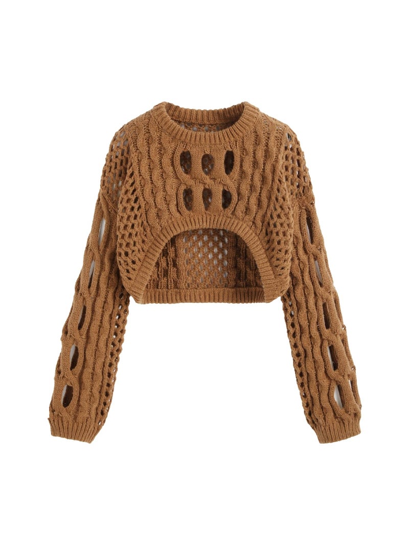 CIDER Cropped Sweaters for Women Knit Round Neckline Hollow Out Long Sleeve Crop Top Sweaters: Brown, M - Image 1