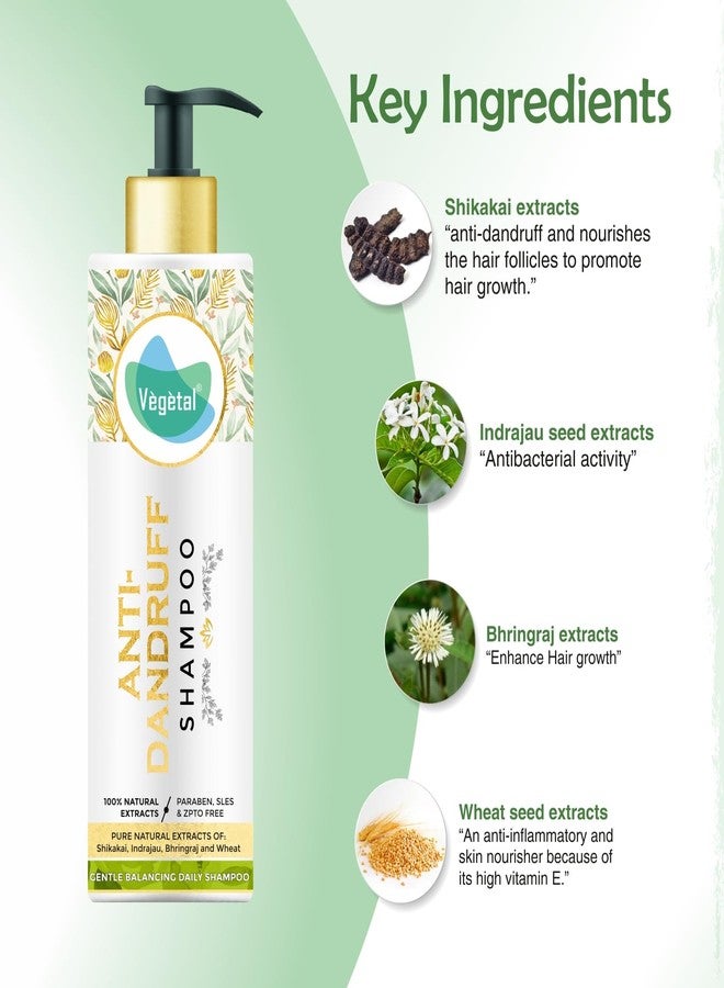 Vegetal Natural Anti-Dandruff Shampoo with Shikakai, Bhringraj Paraben-Free Pack of 3 - Image 4