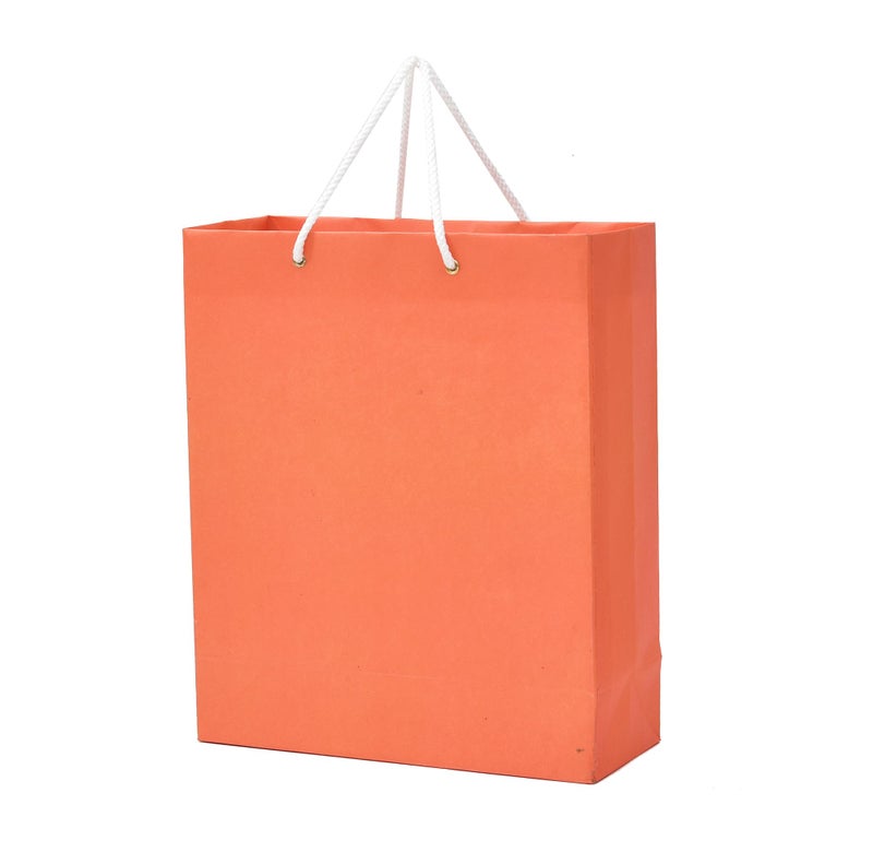 PPJ ® - HAPPY BIRTHDAY PARTY (PLAIN ORANGE) (10 Pcs.) PAPER CARRY BAG, 10 Inch X 12 Inch X 4 Inch RETURN GIFT/HAPPY BIRTHDAY/RETURN GIFTS/GIFTS/GIFT BAGS/GIFT COVERS (Pack of 10) - Image 1