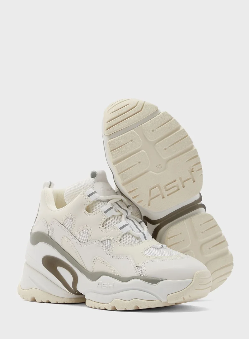 Ash Bang Low Top Sneakers