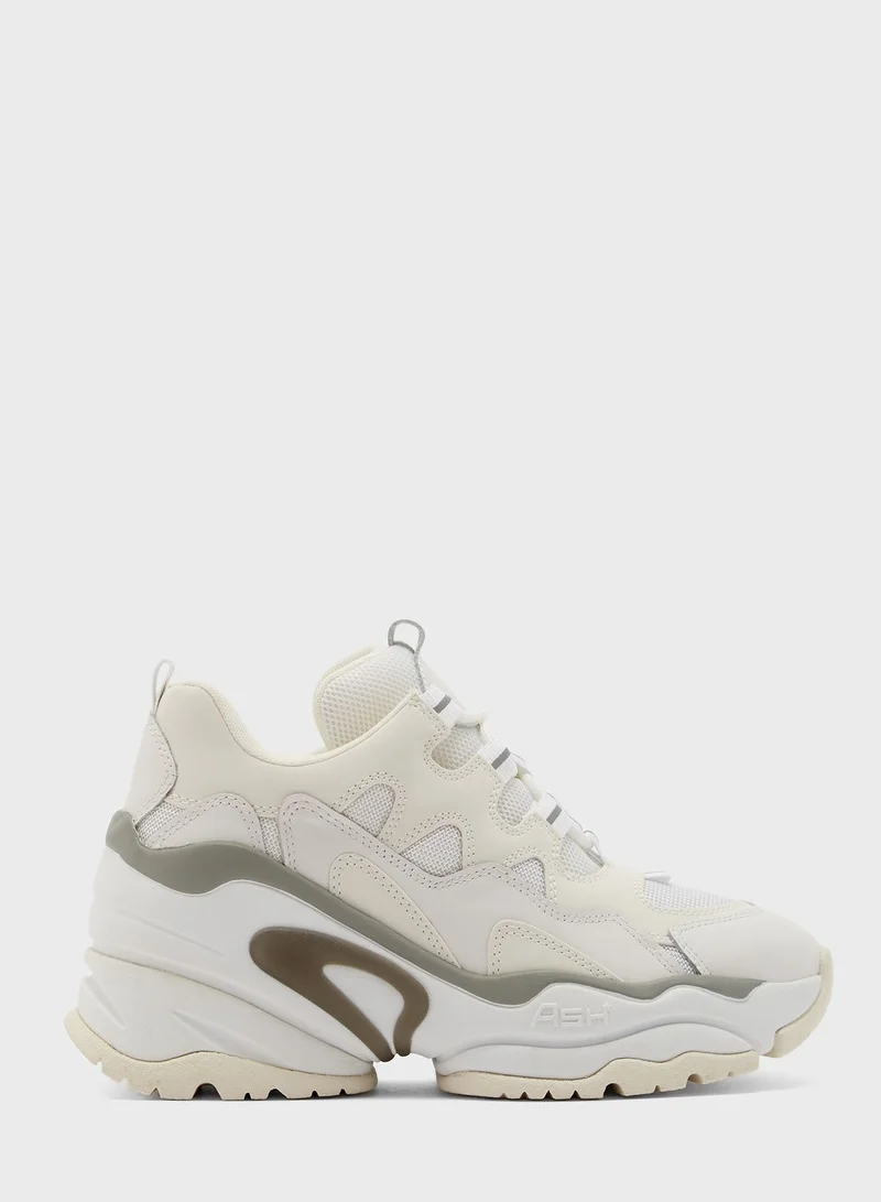 Ash Bang Low Top Sneakers