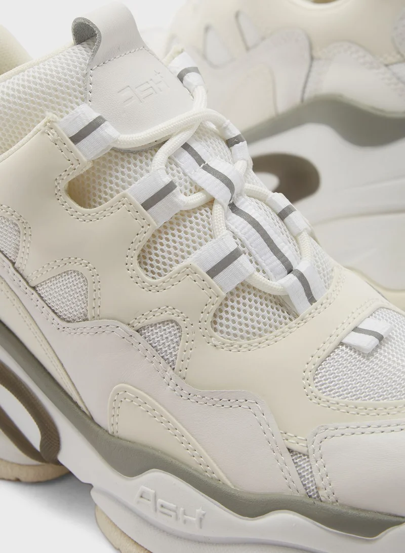 Ash Bang Low Top Sneakers