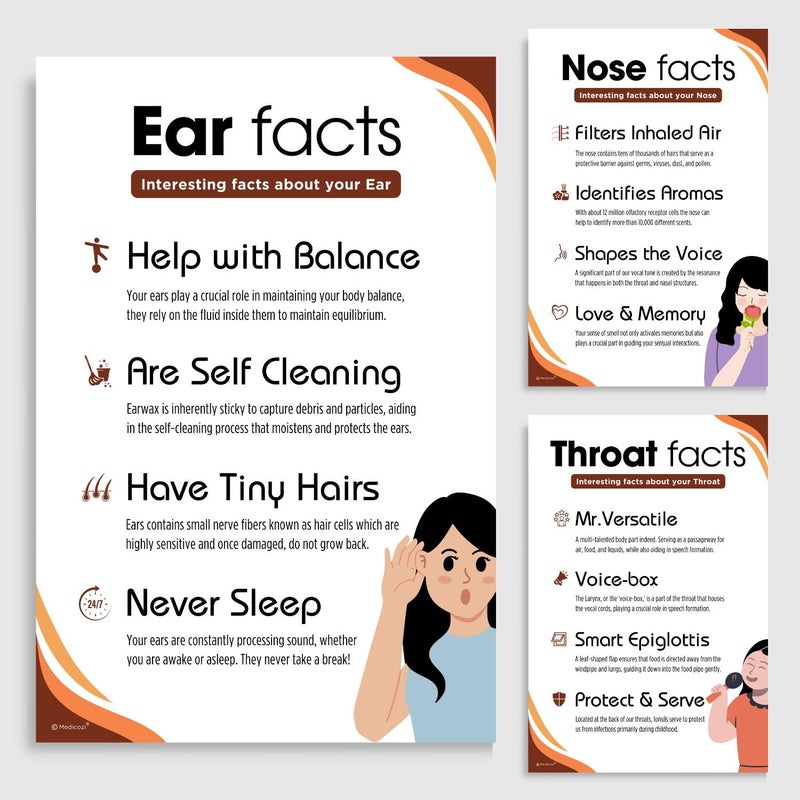 Medicozi Medicozi ENT Hospital Clinic Posters Set of 3 Unframed 12x18 inches Ear Nose Throat Doctors waiting room Art - Image 1