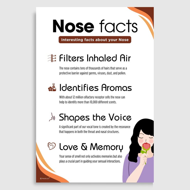 Medicozi Medicozi ENT Hospital Clinic Posters Set of 3 Unframed 12x18 inches Ear Nose Throat Doctors waiting room Art - Image 3