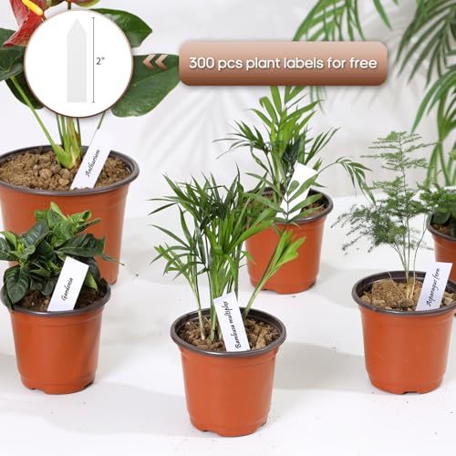 Hemikaki 300 Pack 4 Inch Plastic Nursery Pots for Plants, Small Seedling Pots Succulent Pots Flower Pots with Drainage Holes, Come with 300pcs Plant Labels - Image 4