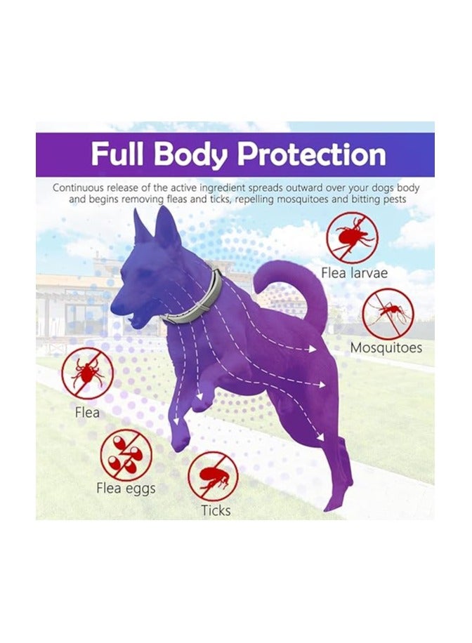MIRFA Dog Insect Repellent Collar For 8 Months Protection - Image 2