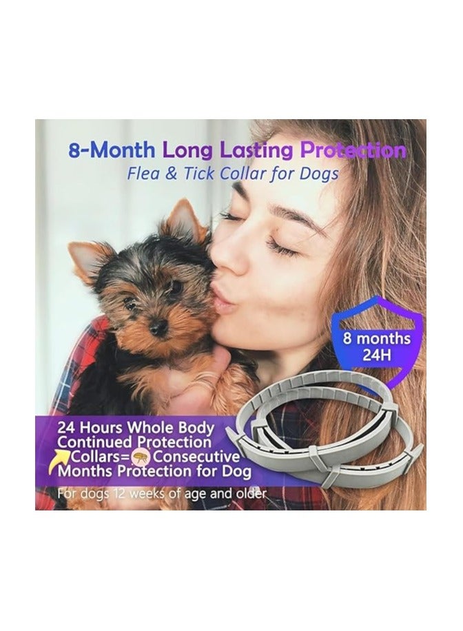 MIRFA Dog Insect Repellent Collar For 8 Months Protection - Image 3