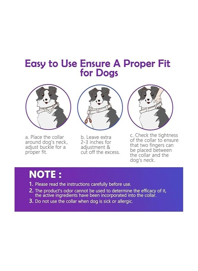 MIRFA Dog Insect Repellent Collar For 8 Months Protection - Image 4