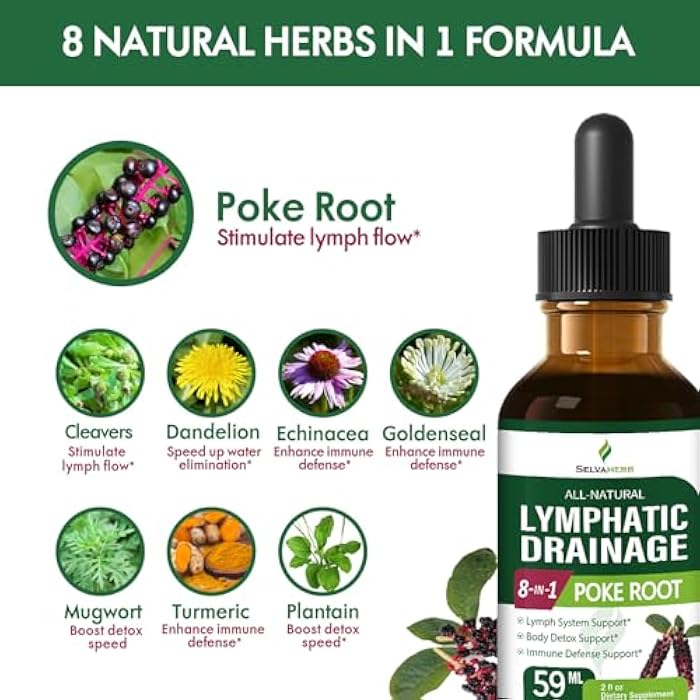 Selvaherb قطرات عشبة جذر البوكه لتصريف اللمف لدعم نظام اللمف، مكمل صبغة عشبية محسّنة 8 في 1 لتطهير الجسم ودعم المناعة مع مستخلص الإخناسيا. 2 أونصة - Image 4