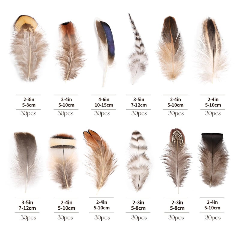 whitefeather Natural Feathers Bulk -360PCS - 12 Styles Assorted Small Natural Feathers, Peacock Feathers, Pheasant Feathers, Turkey Feathers for DIY Crafts, Wedding, Crafting Supplies - Image 2
