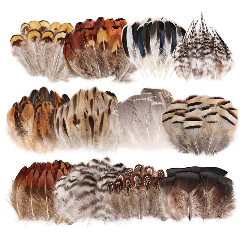 whitefeather Natural Feathers Bulk -360PCS - 12 Styles Assorted Small Natural Feathers, Peacock Feathers, Pheasant Feathers, Turkey Feathers for DIY Crafts, Wedding, Crafting Supplies - Image 1