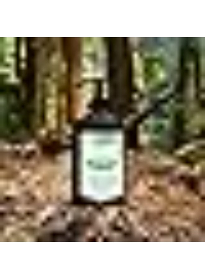 Arganicare Aloe Vera Conditioner 400ml - Image 3