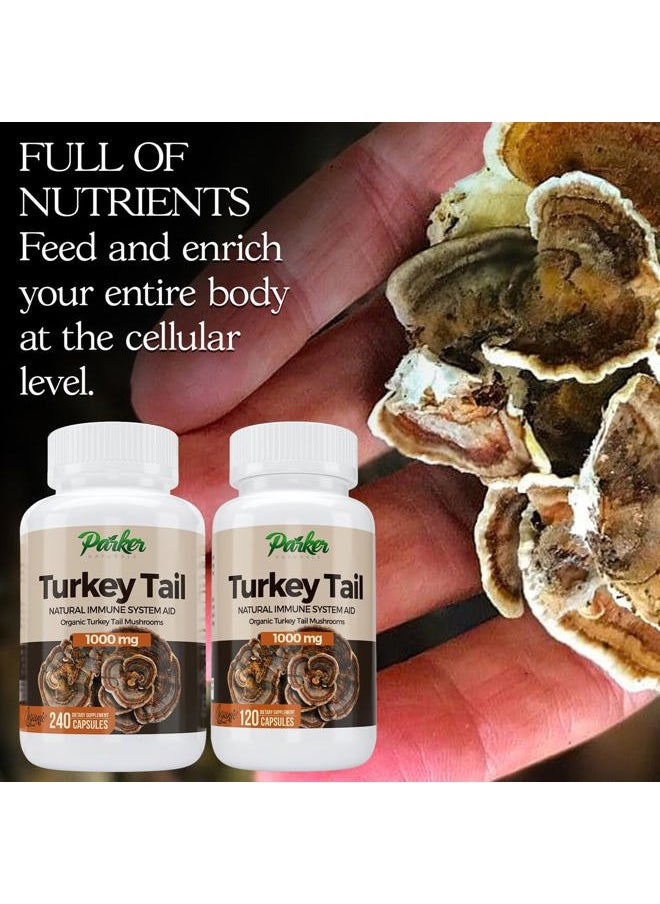 Parker Naturals - Turkey Tail Mushroom Capsules - Organic Mushroom Supplement for Immune System Health Support - 1000 mg Premium Supplements - 120 Capsules - Image 1