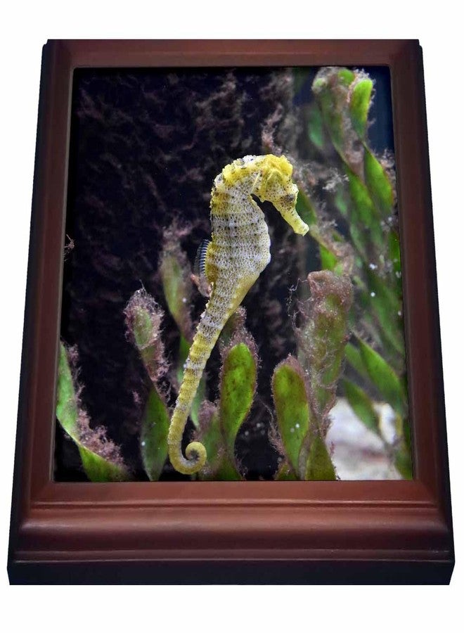 8x8 Trivet with 6x6 Ceramic Tile - Yellow and White Seahorse Aquarium Animal Animal