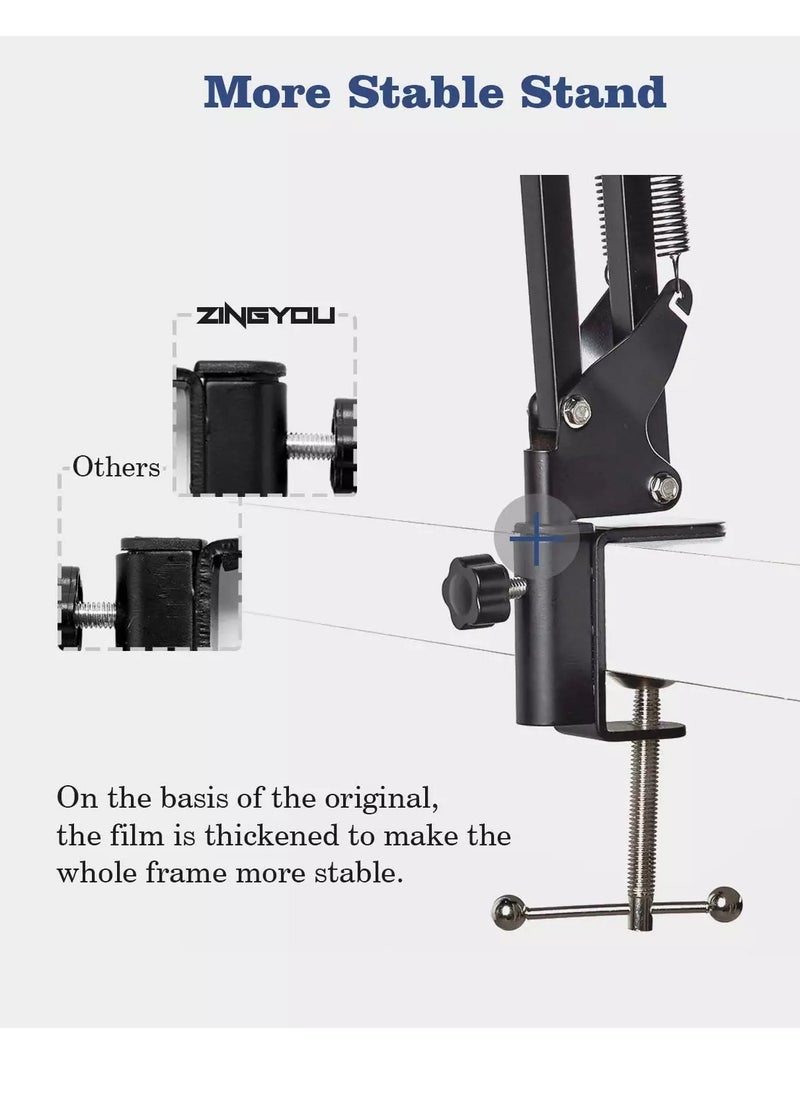 ZY-007 Condenser Microphone + TechRise Sound Card Bundle for Studio Recording & Brocasting