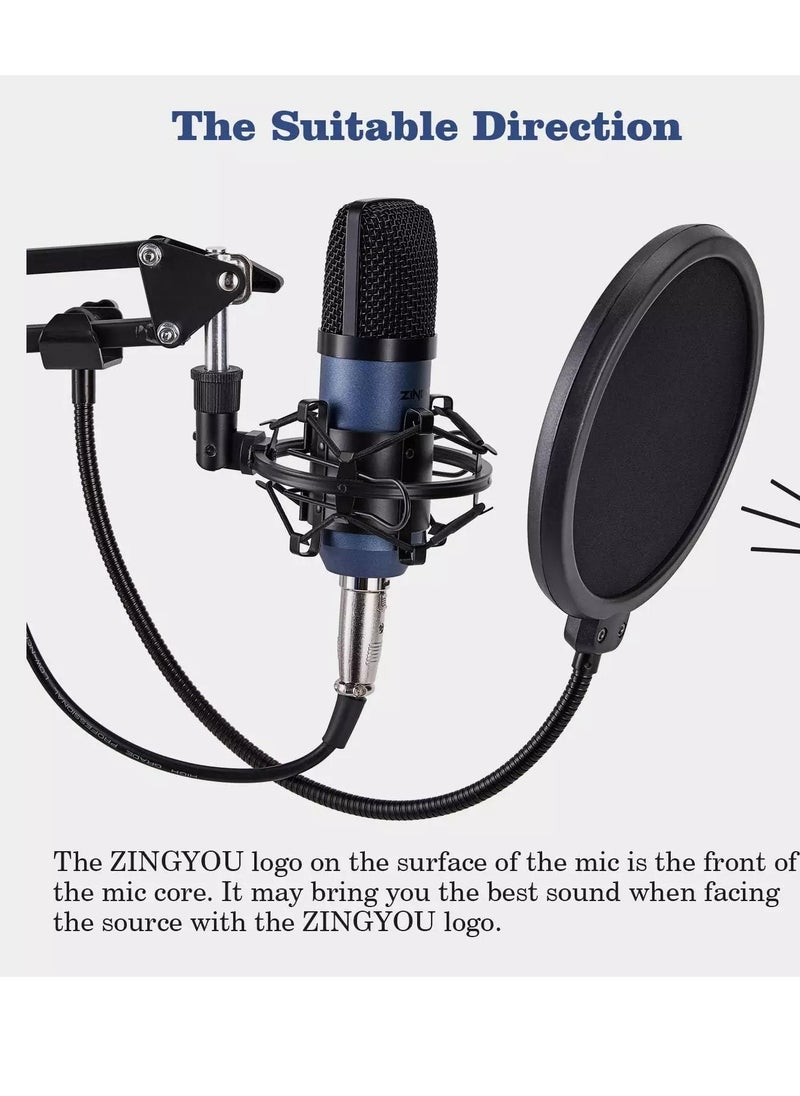 ZY-007 Condenser Microphone + TechRise Sound Card Bundle for Studio Recording & Brocasting