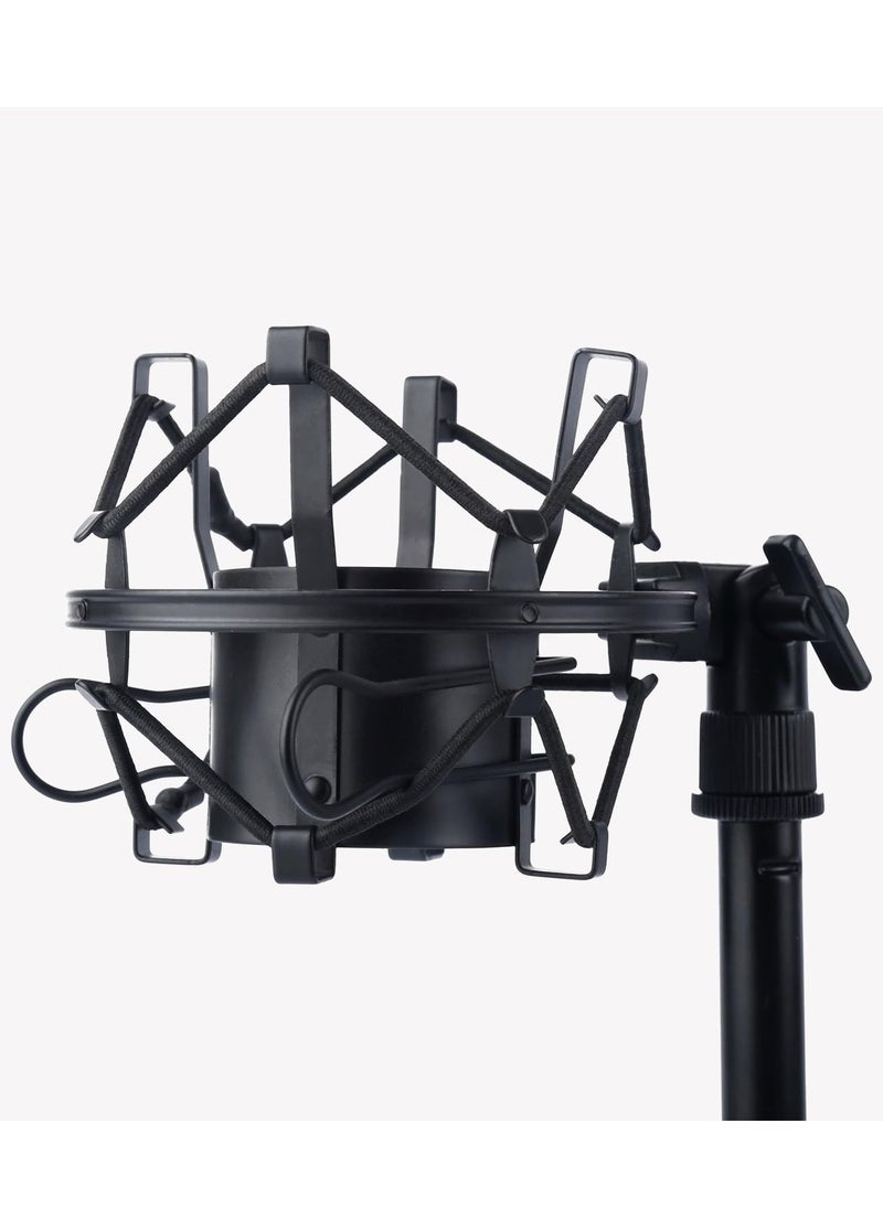ZY-007 Condenser Microphone + TechRise Sound Card Bundle for Studio Recording & Brocasting
