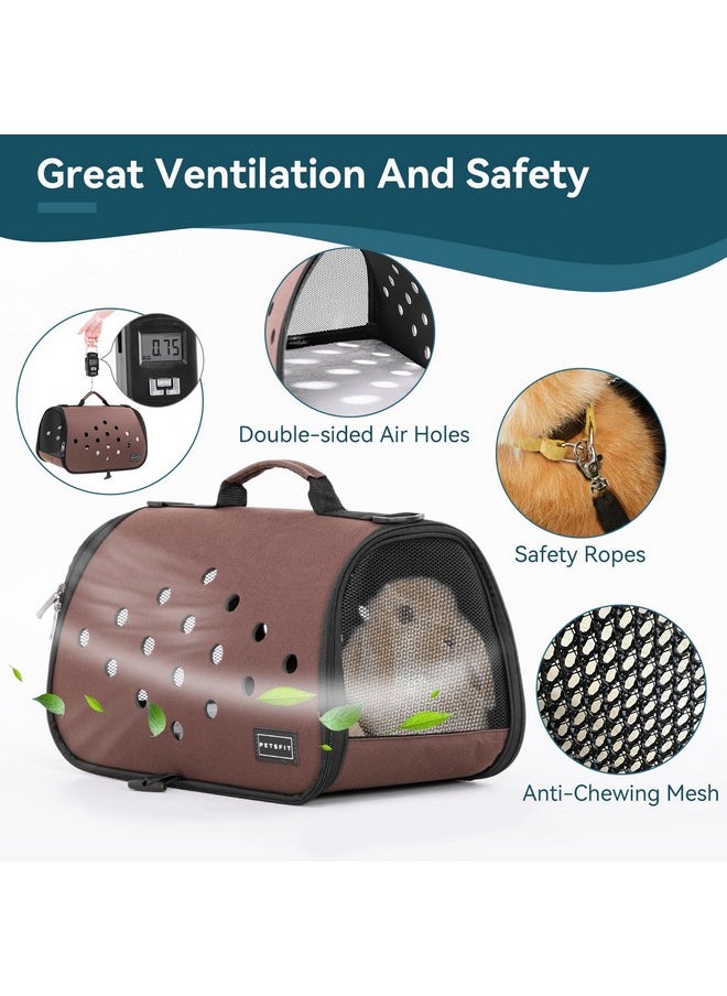 Petsfit Petsfit 16 X 9 X 9 Inches Rabbit Carrier, Portable Bunny Carrier with Ventilation Holes, Guinea Pig Carrier for Small Animals, Chinchilla, Hedgehog, Squirrel  - Image 3