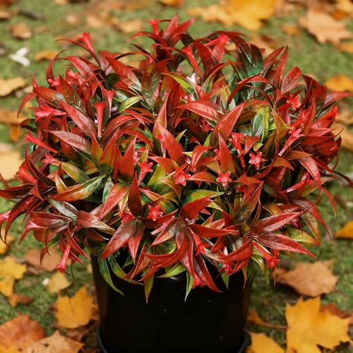 Uieke 6Pcs Outdoor Artificial Plants UV Resistant Fake Flowers Plastic Plants Morning Glory Greenery Shrubs for Outside Home Garden Patio Window Box Summer Fall Décor Red - Image 1