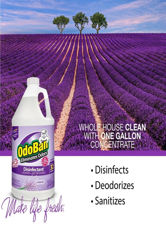 OdoBan Disinfectant Concentrate and Odor Eliminator, Made in the USA, Lavender Scent, 1 Gallon - Image 5