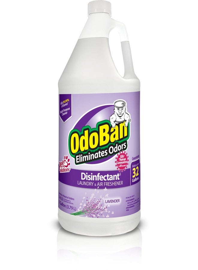 OdoBan Disinfectant Concentrate and Odor Eliminator, Made in the USA, Lavender Scent, 1 Gallon - Image 1