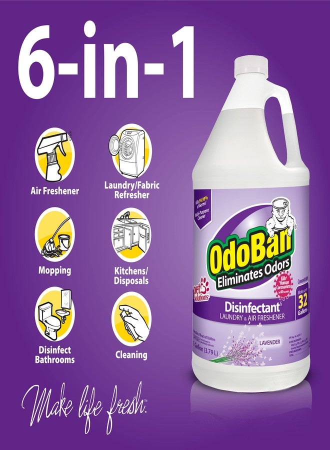 OdoBan Disinfectant Concentrate and Odor Eliminator, Made in the USA, Lavender Scent, 1 Gallon - Image 3