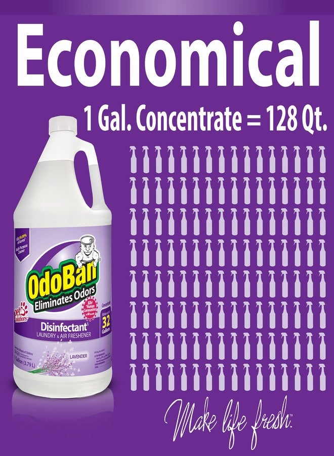 OdoBan Disinfectant Concentrate and Odor Eliminator, Made in the USA, Lavender Scent, 1 Gallon - Image 4