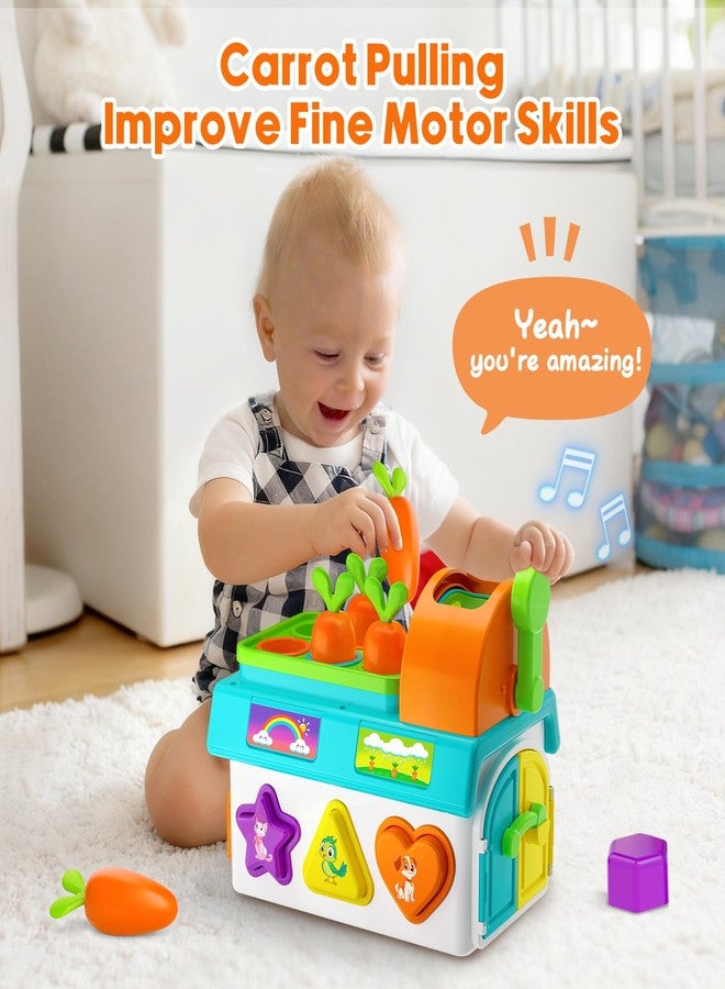 Grasili Toys for 1 Year Old Boy Girl Gifts, 1st First Birthday Boy Gifts Presents, Musical Sorting Toys with Light Sound, Montessori Educational Learning Toddler Toy for 1-2 Year Old, Fine Motor Skills - Image 2