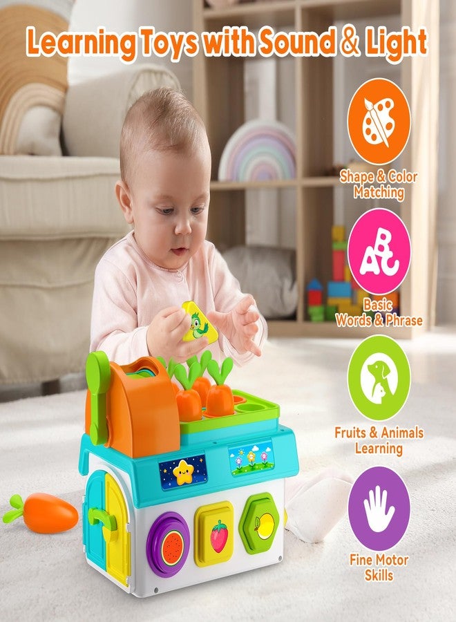 Grasili Toys for 1 Year Old Boy Girl Gifts, 1st First Birthday Boy Gifts Presents, Musical Sorting Toys with Light Sound, Montessori Educational Learning Toddler Toy for 1-2 Year Old, Fine Motor Skills - Image 3