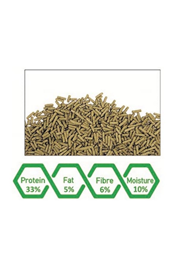 WA Turtle Tortoise Nutrafeed Floating Sticks 35G  - Image 4