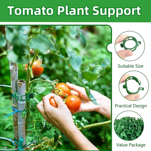 Pynqdfu 400 Pcs Plastic Trellis Plant Support Clips,Vine Vegetable Fixing Clips,Grape Tomato Plant Support,Garden Vine Clips for Healthier Vegetable Growth (Green) - Image 5