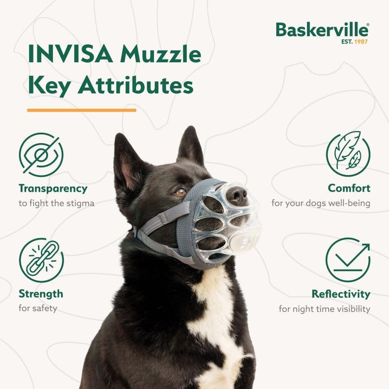 Baskerville INVISA Basket Dog Muzzle - Patented Humane Design with Facial Visibility, Padded Nose Band, Dog can Pant and Drink, Prevents Biting and Scavenging. Muzzle for Medium-Sized Dogs (Size 4) - Image 3