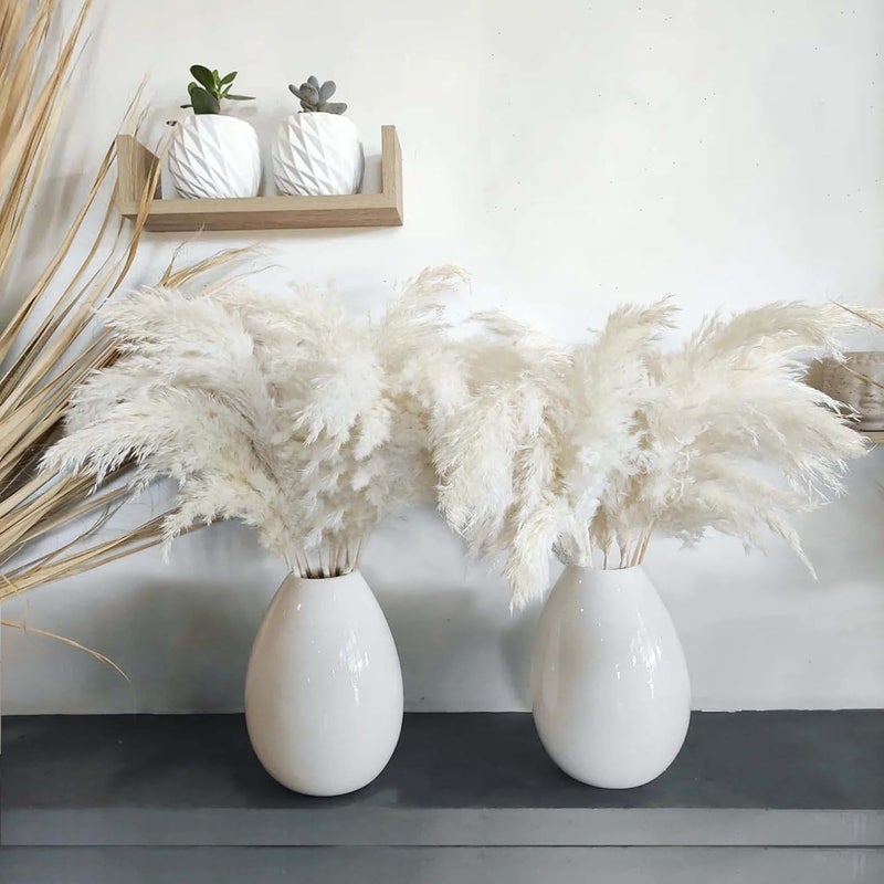 ROOLLYA 17 inch 20 Stems Pampas Grass Decor Tall -Natural Fluffy Pampas Grass Tall Pompas Grass for Floor Vase - Boho Decor Home Decor Wedding Decor Event Decor, 2404-c15-30white-45cm - Image 1