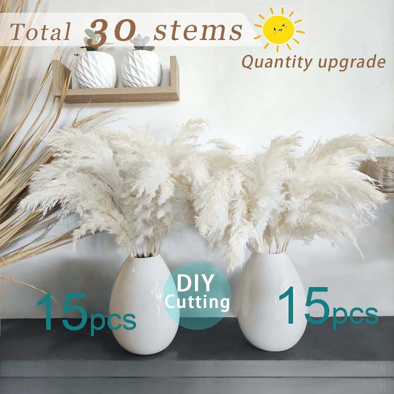 ROOLLYA 17 inch 20 Stems Pampas Grass Decor Tall -Natural Fluffy Pampas Grass Tall Pompas Grass for Floor Vase - Boho Decor Home Decor Wedding Decor Event Decor, 2404-c15-30white-45cm - Image 2