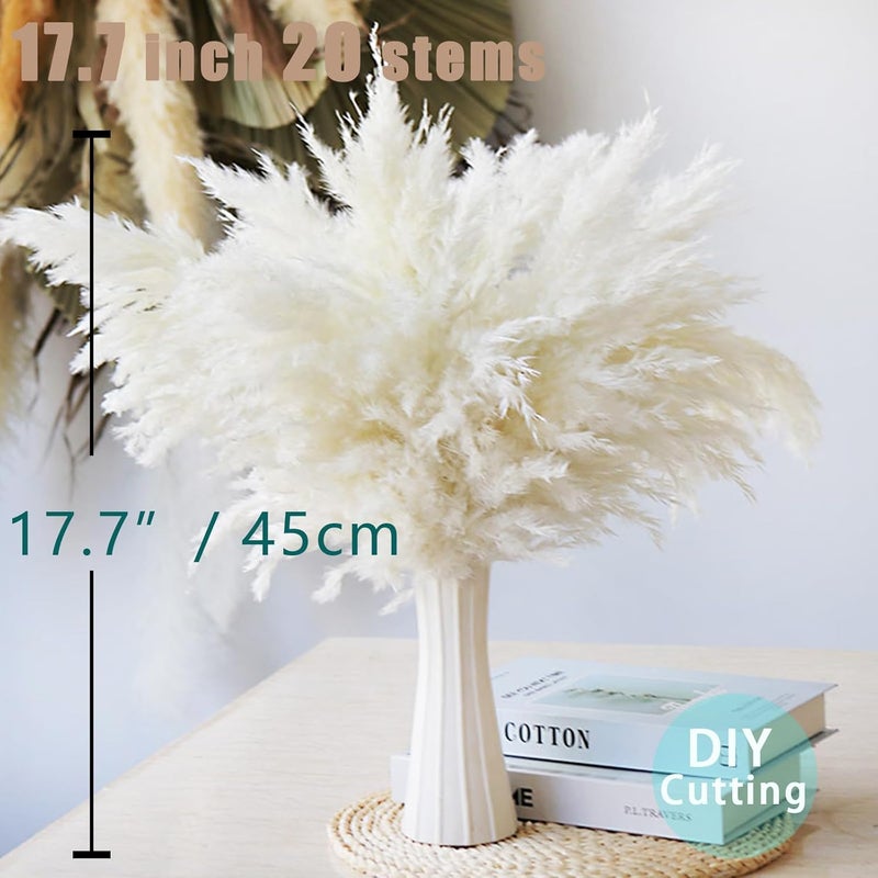 ROOLLYA 17 inch 20 Stems Pampas Grass Decor Tall -Natural Fluffy Pampas Grass Tall Pompas Grass for Floor Vase - Boho Decor Home Decor Wedding Decor Event Decor, 2404-c15-30white-45cm - Image 5