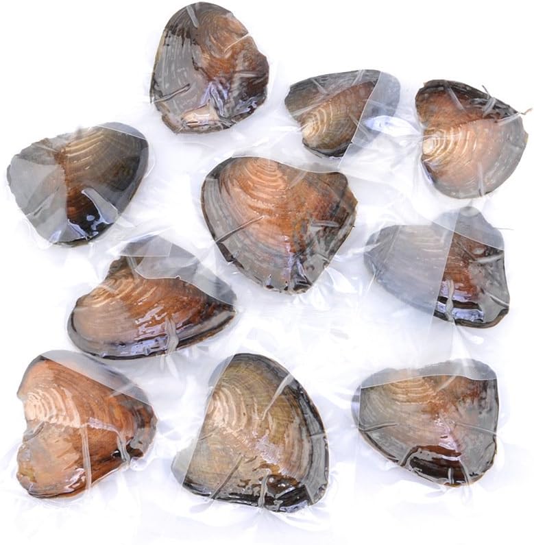 woobles 6 Pcs Mix-Colored Pearls in Vacuum-Packing Freshwater Oyster for DIY Jewelry Making (Pack of 10) 10 PCS Oyster - Image 2